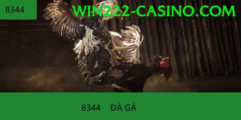 Cách Đọc Kèo Đá Gà